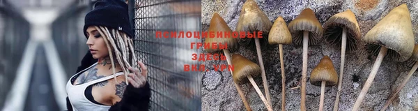 ешки Покровск
