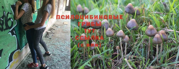 COCAINE Михайлов