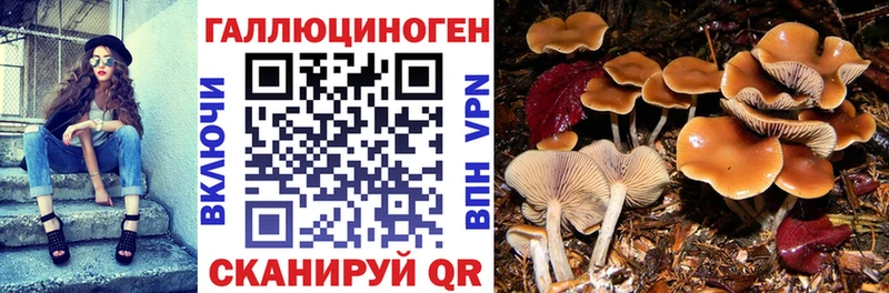 где купить наркоту Надым omg как зайти Галлюциногенные грибы Psilocybe